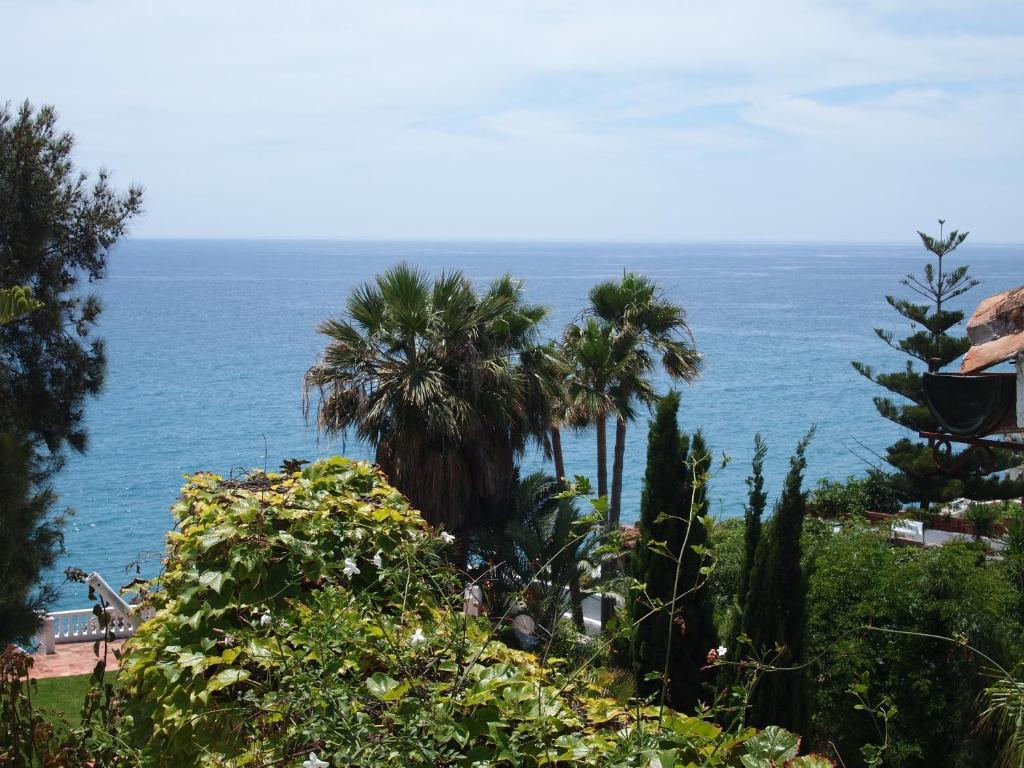 Appartement 1 Chambre avec Terrasse - Vue sur Mer